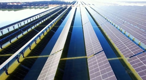 山東?；胶忭?xiàng)目